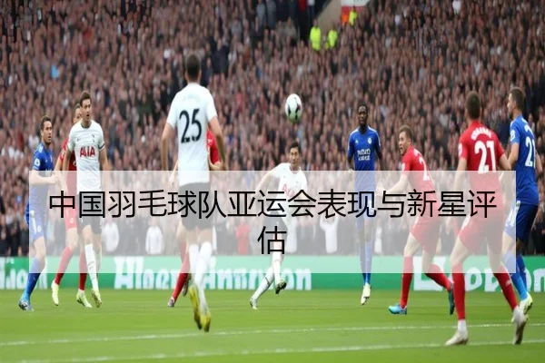 中国羽毛球队亚运会表现与新星评估